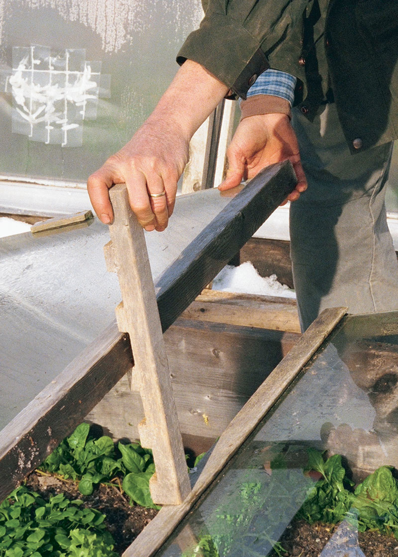 Manuallly venting the cold frame